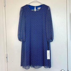 Calvin Klein Balloon 3/4Sleeve Chiffon Shift Dress